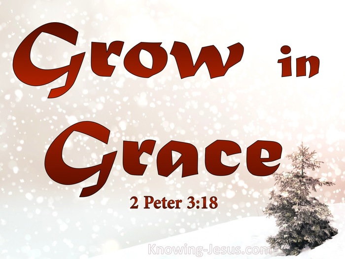 What Does 2 Peter 3 18 Mean 